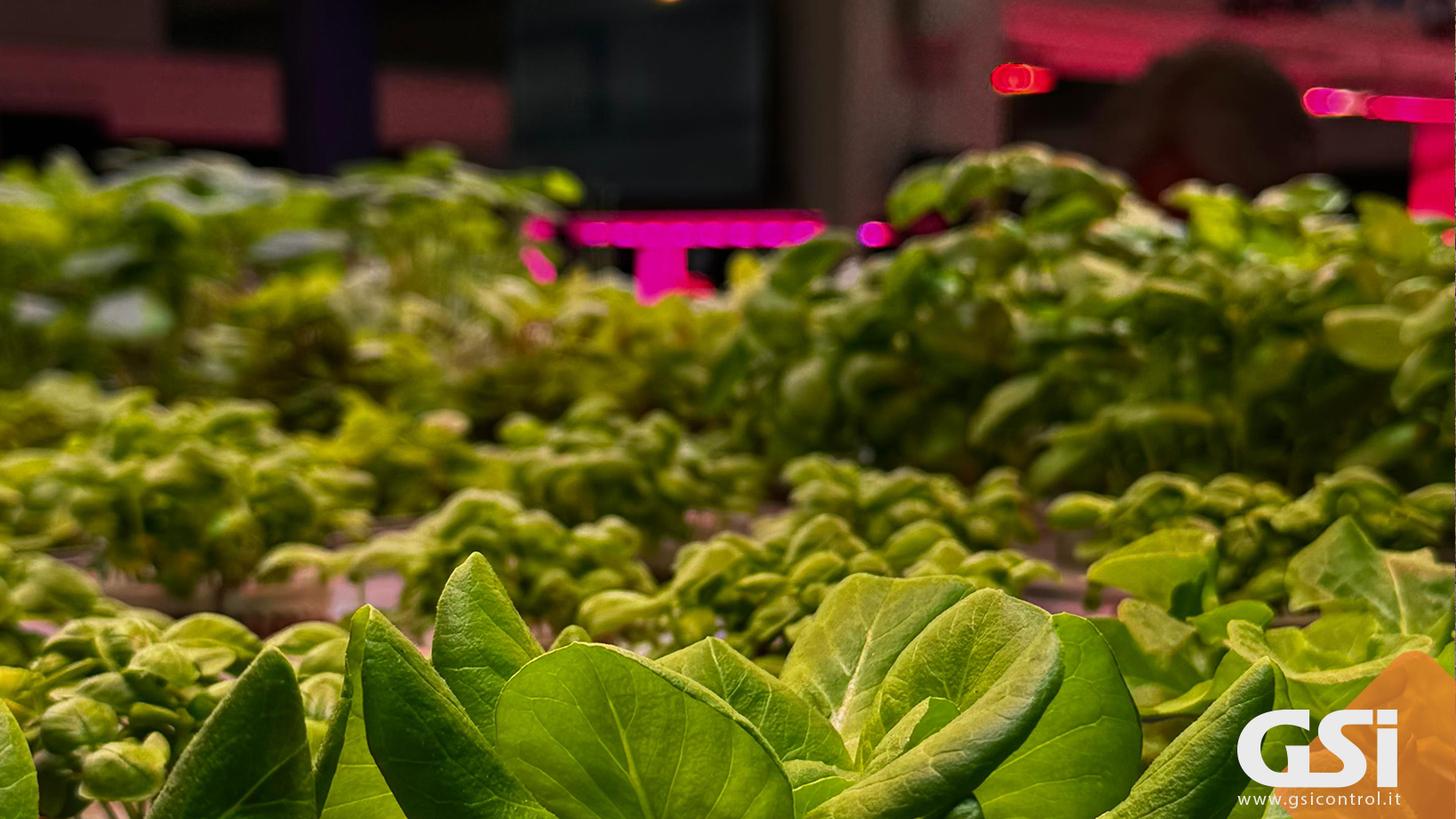 Clima Perfetto per la Green House: in Piemonte con MEVO AIR